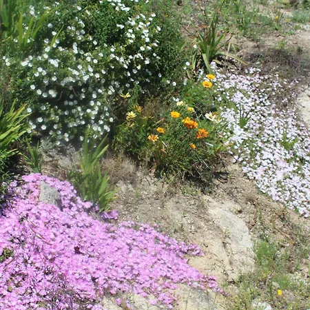 Сasa de vacaciones Casetta Ludo&fili Sole Ruiu