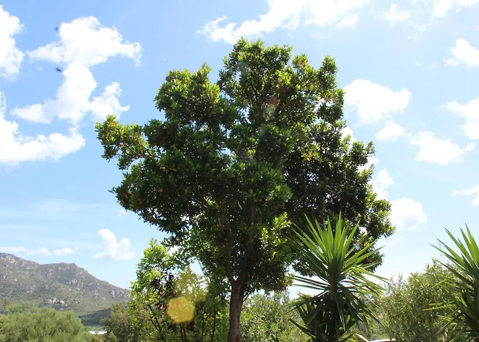 Casetta Ludo&fili Sole Ruiu